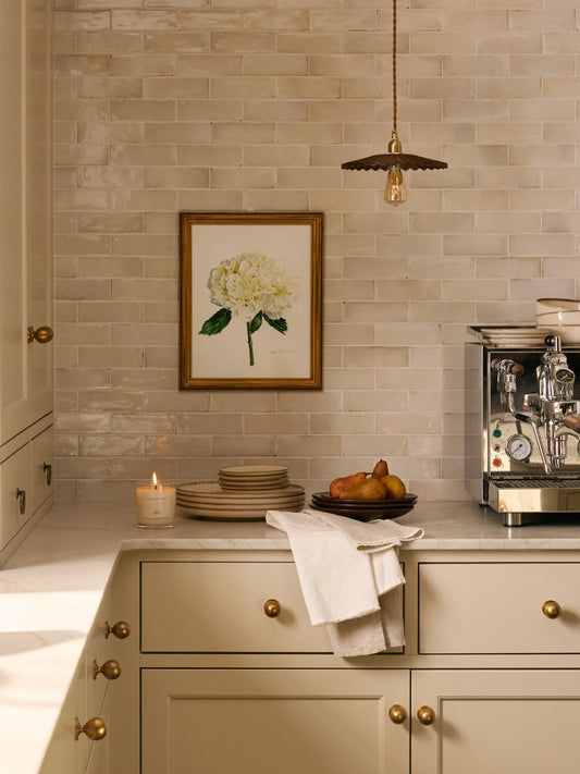 Collection Lise - Aquarelles Hydrangée blanche