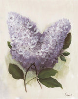 Collection paysages et nature morte - Bouquet de lilas & Encadrement