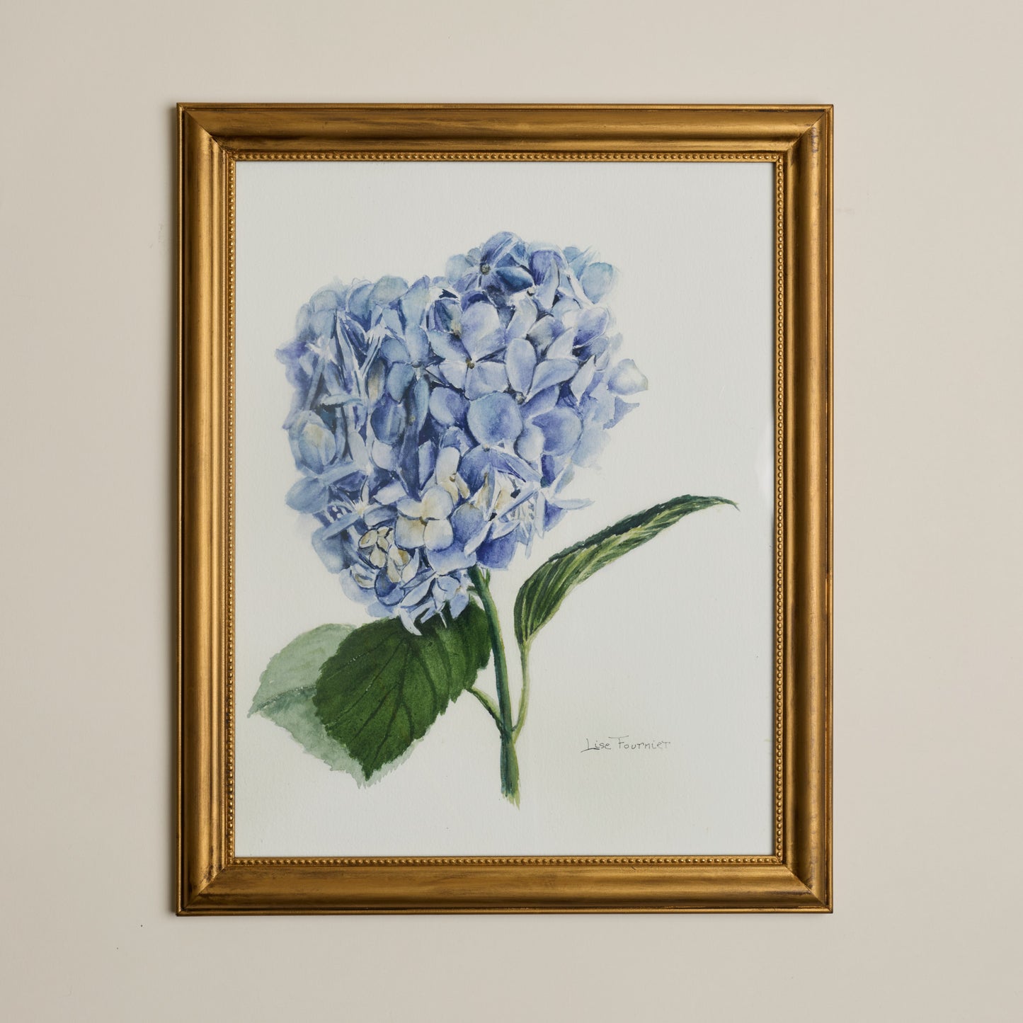 Collection Lise - Aquarelles Hydrangée bleue