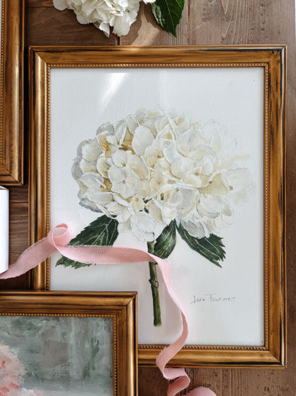 Lise Collection - White Hydrangea Watercolors