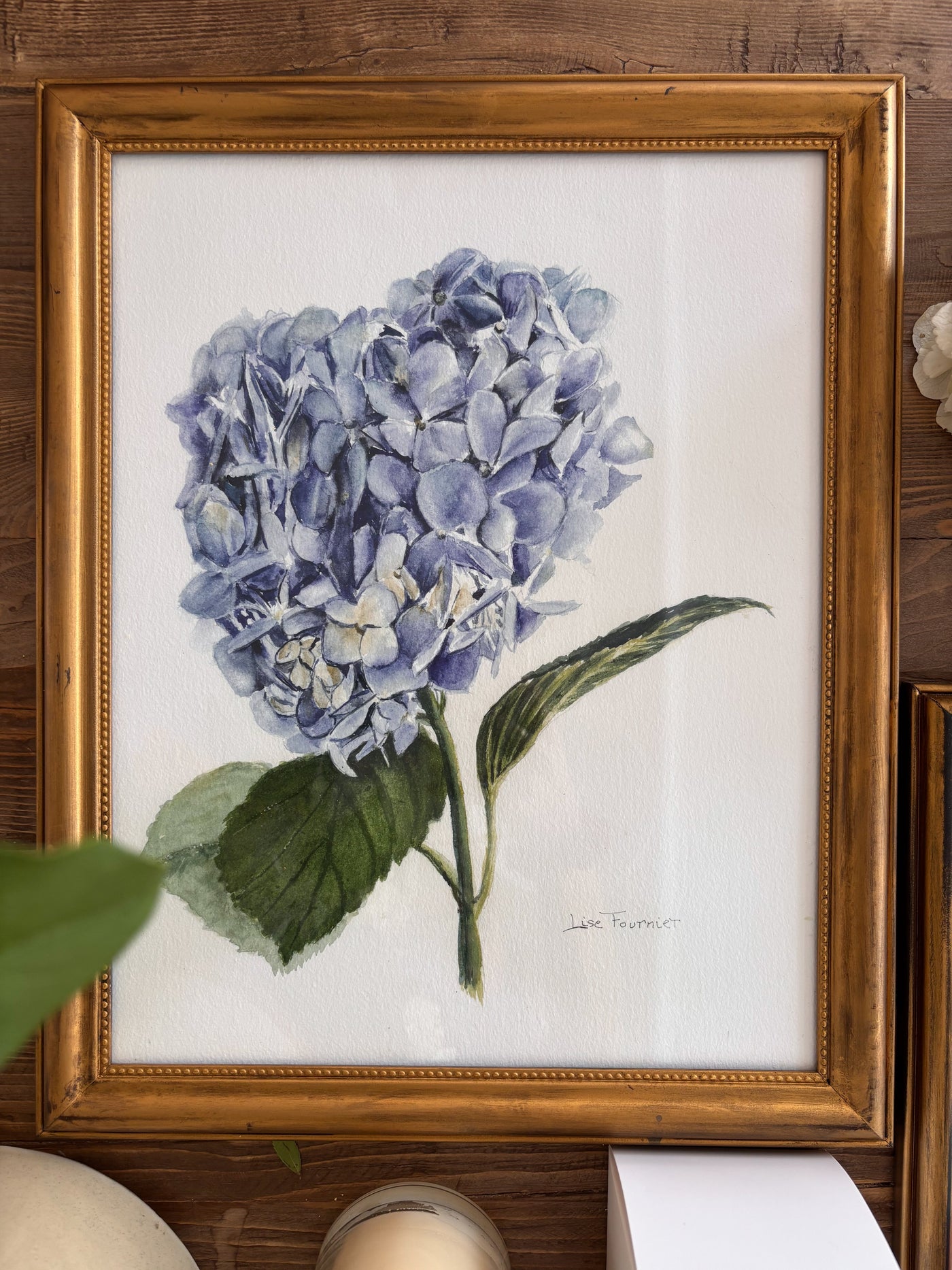Collection Lise - Aquarelles Hydrangée bleue & Encadrement